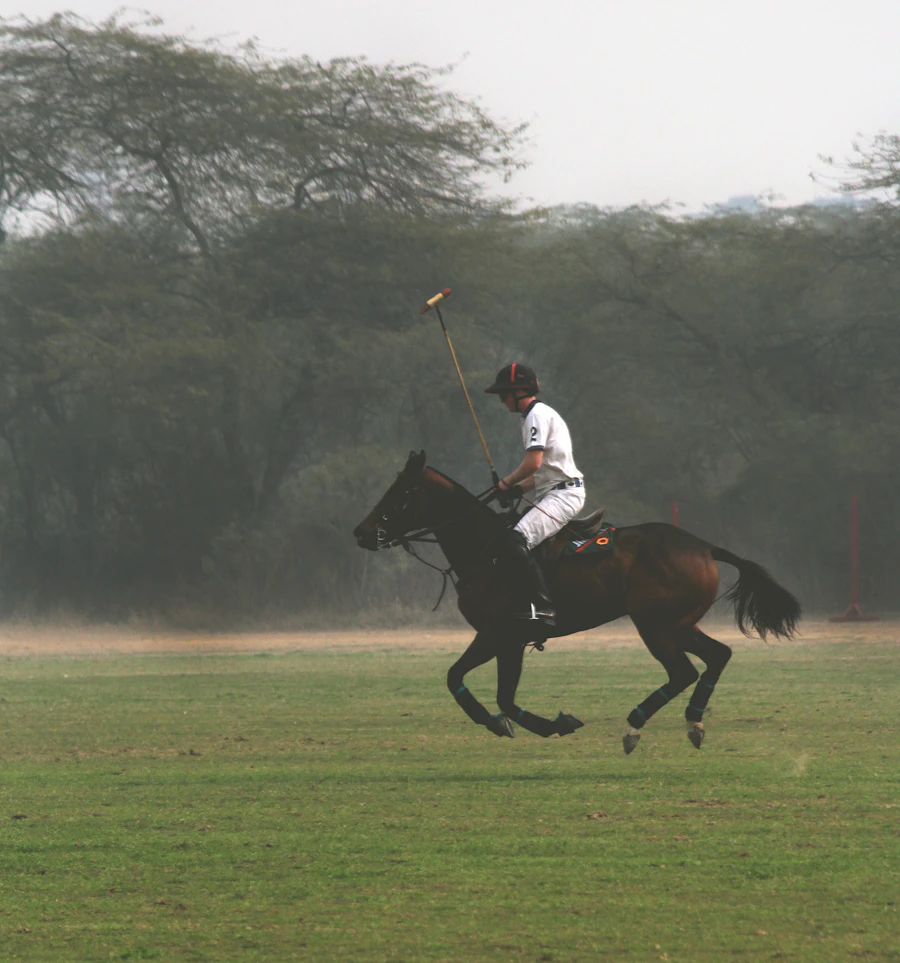 Polo calare