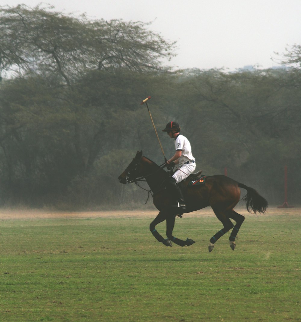 homme cheval à cheval sur un champ vert