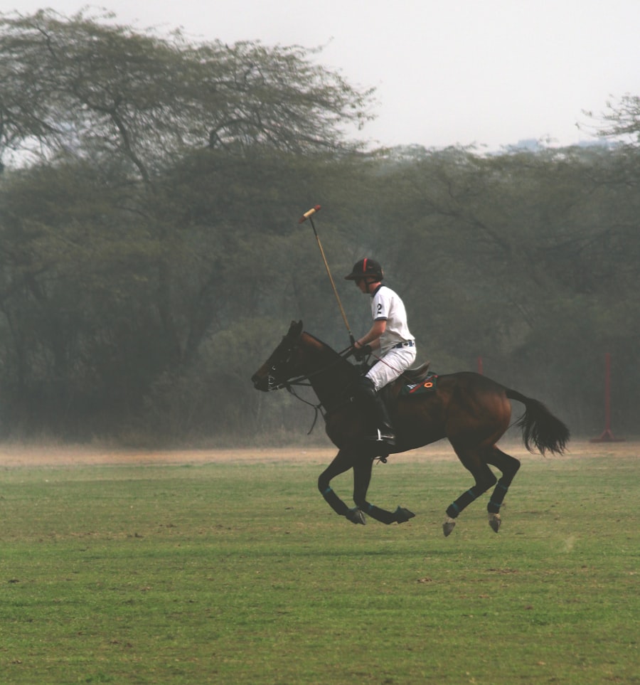 Argentine Open Polo