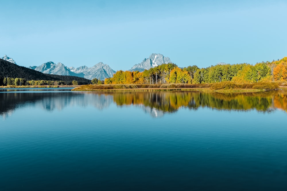 body of water near trees under blue sky