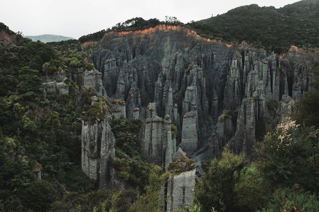 rock formation between forest during daytime