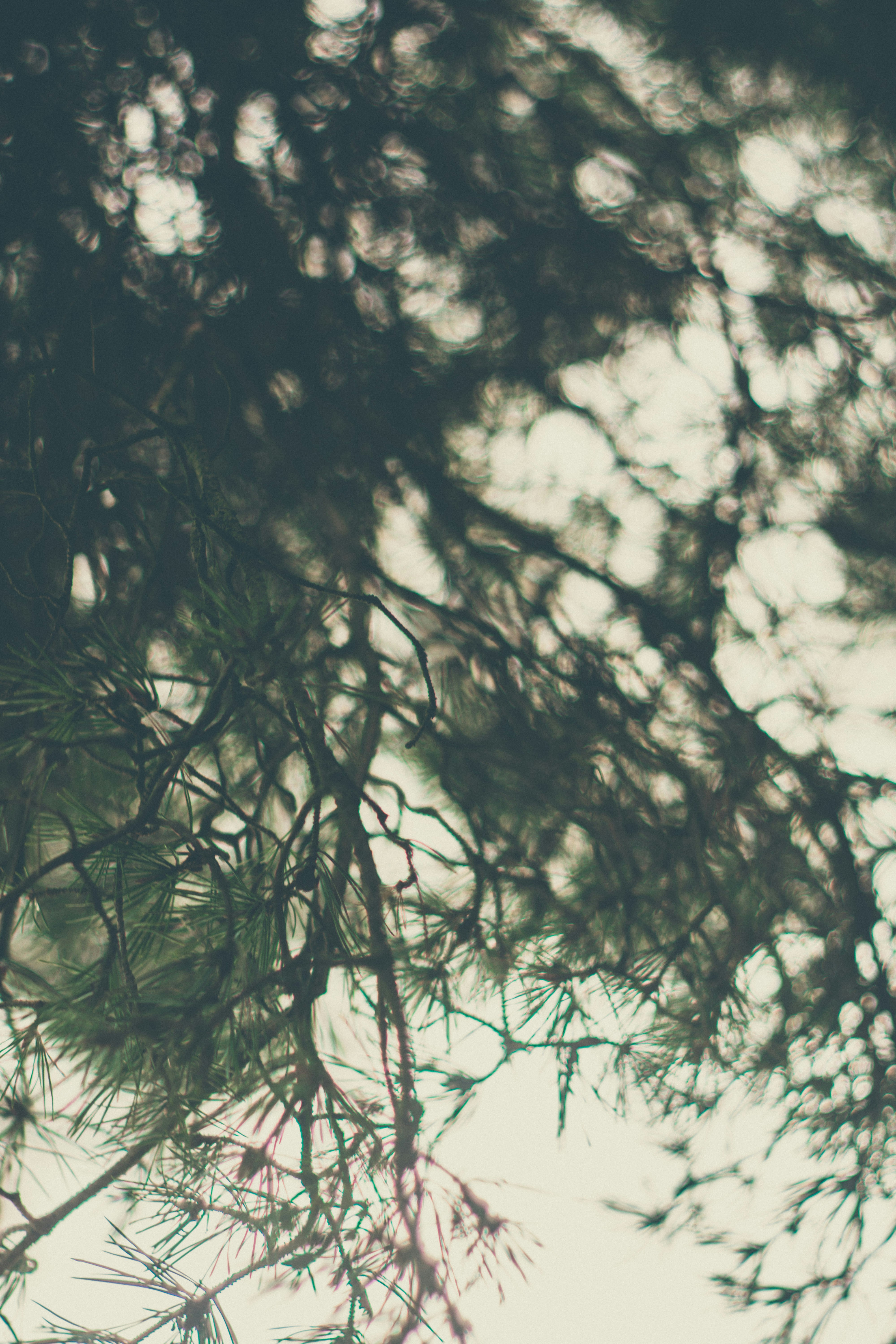 Photo by fschoenfeldt