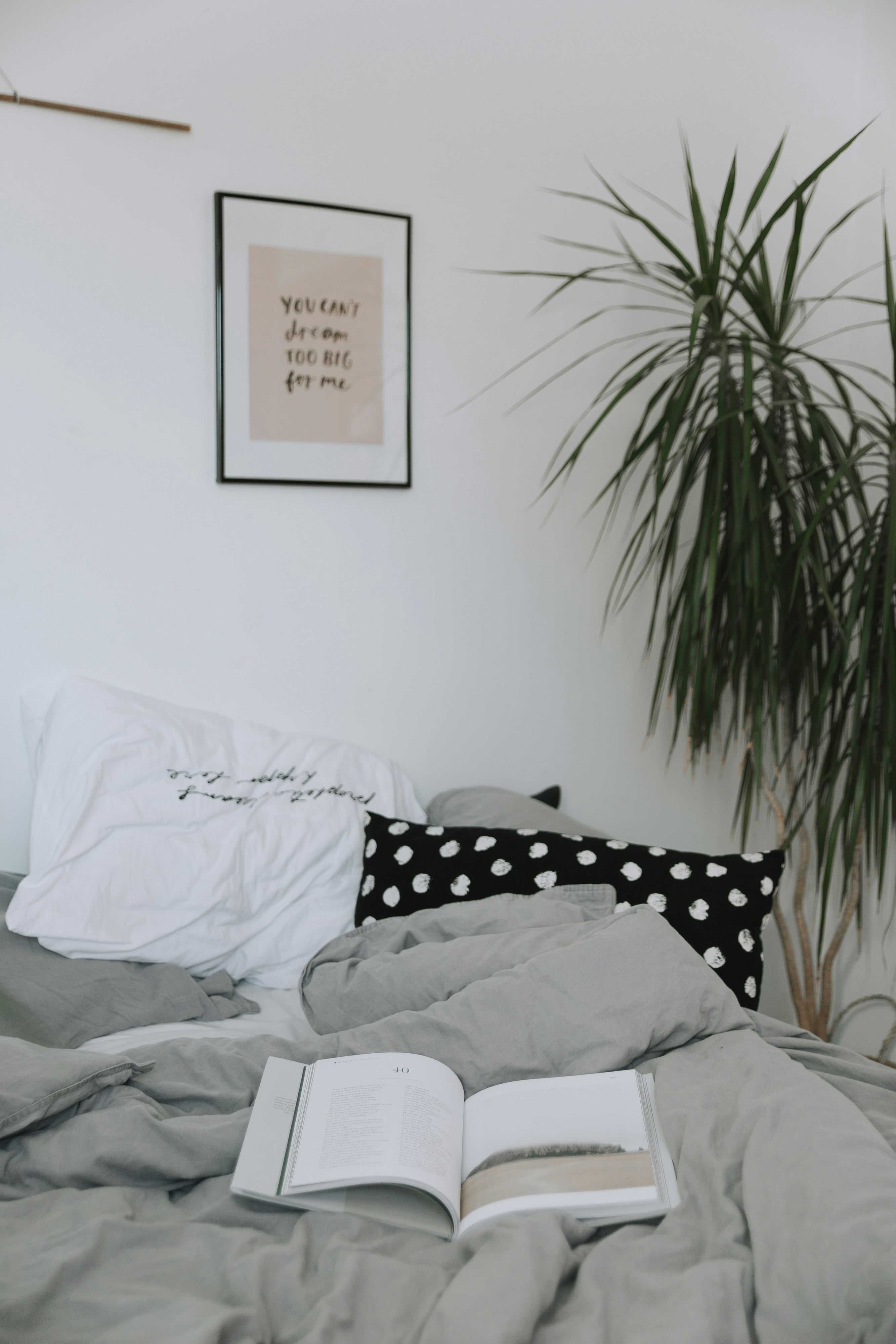 As coisas boas da vida