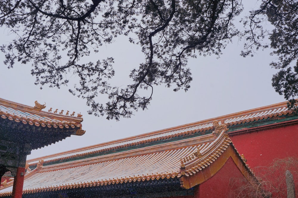 brown and red concrete building under tree during daytime