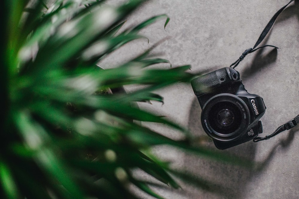 black Canon bridge camera on floor beside plan