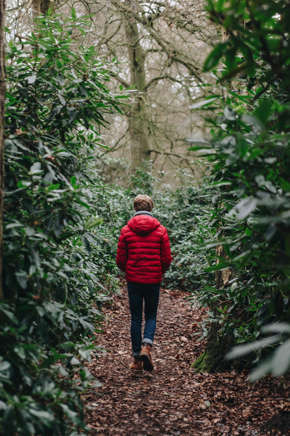 person wearing red jacket beside trees