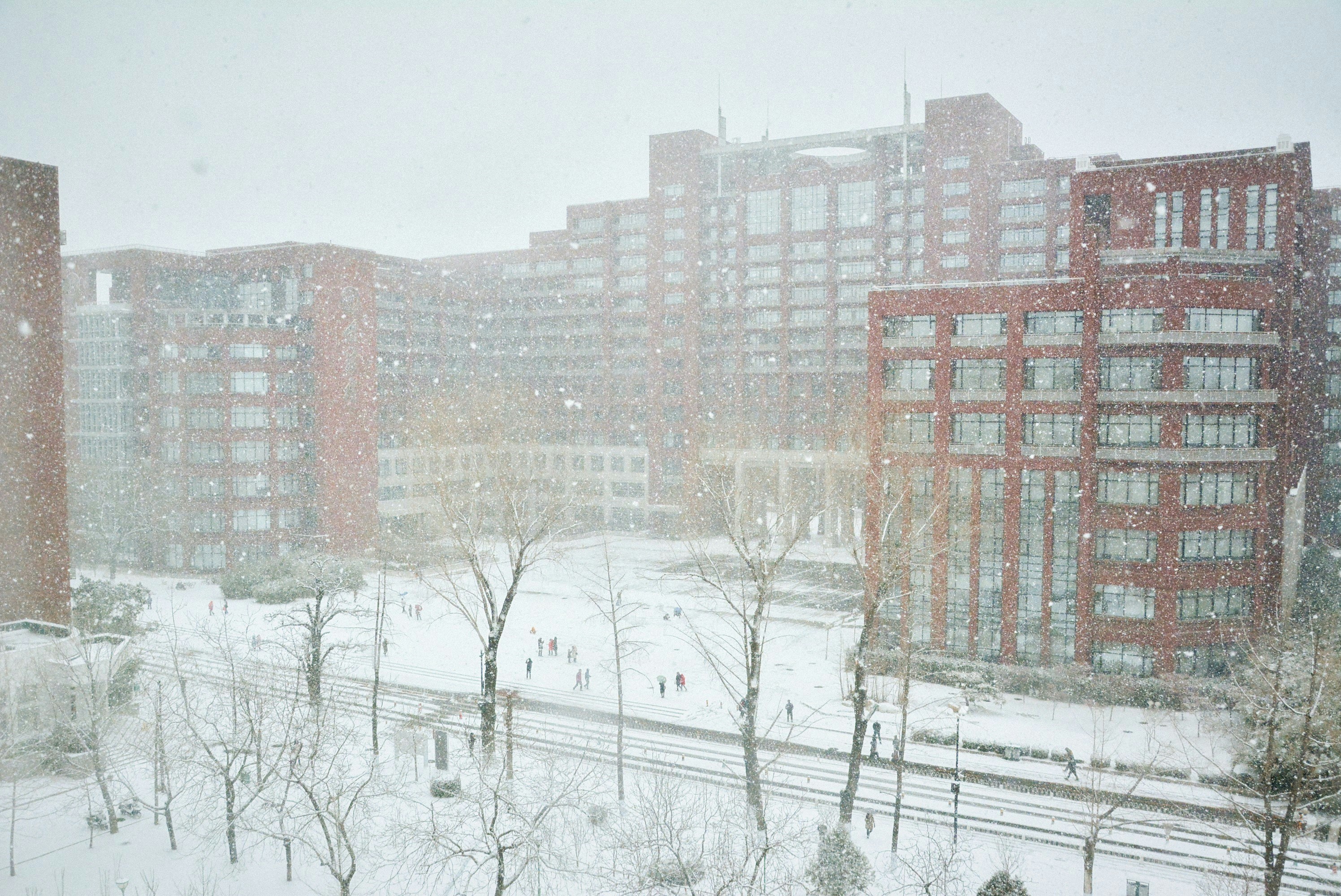 Photo by vencient