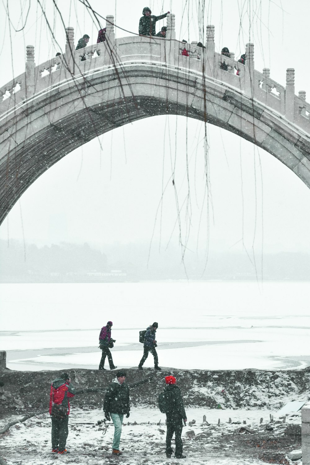 people walking on filed covered with snonw near seashore