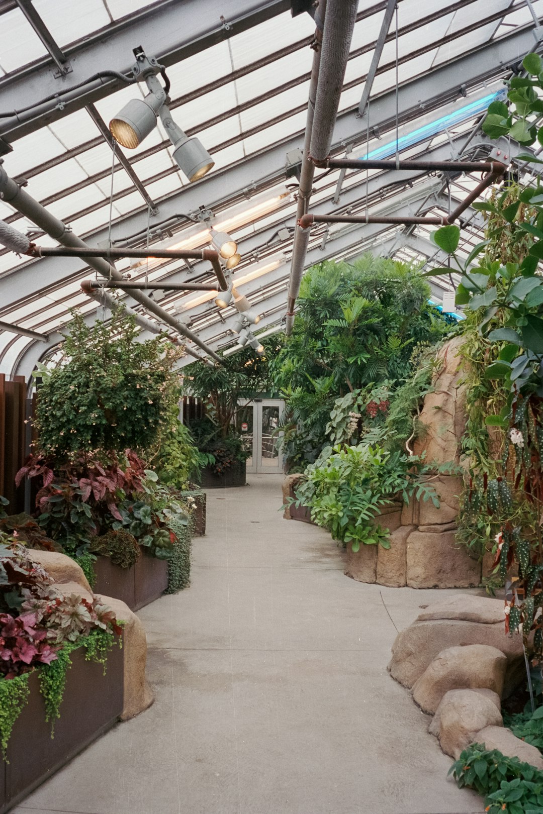 Montreal botanical garden