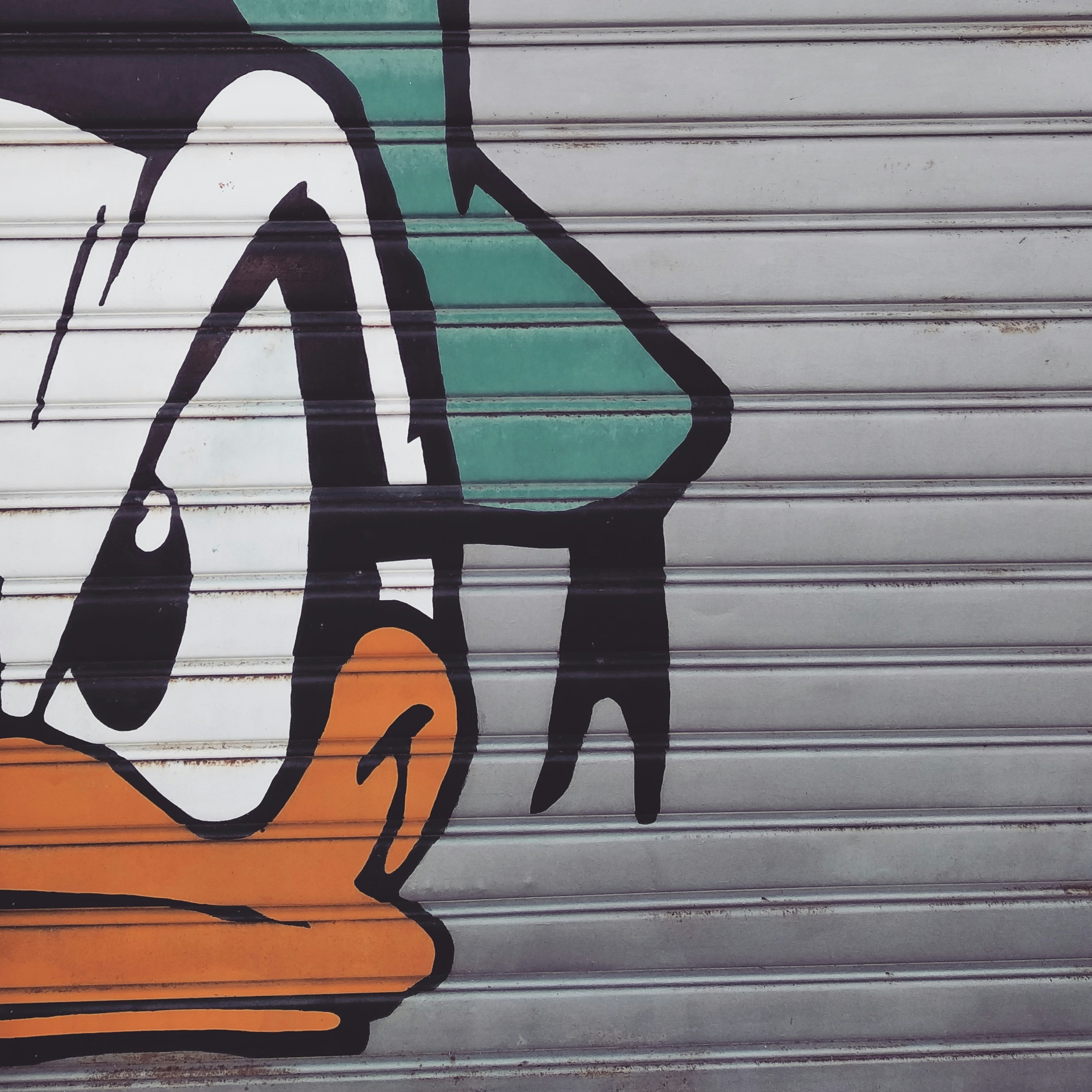 gray and green donald duck print roller shutter