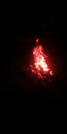 A flickering campfire glowing amber against a dark forest backdrop, with a vintage microphone nearby.