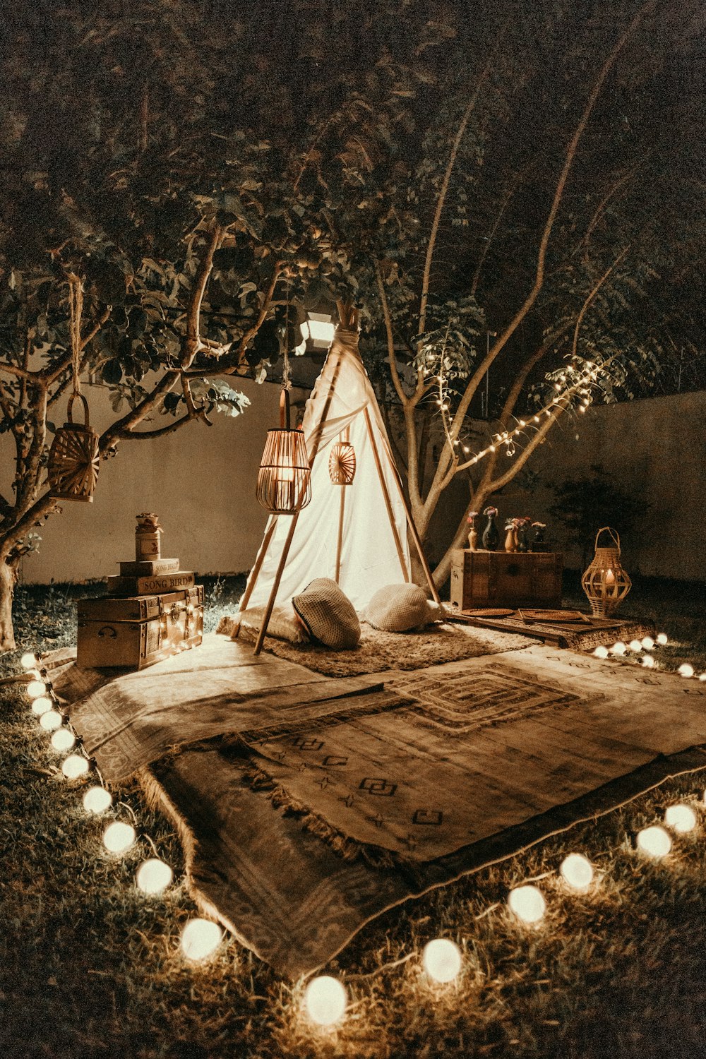 나무 옆의 흰색과 갈색 티피 텐트