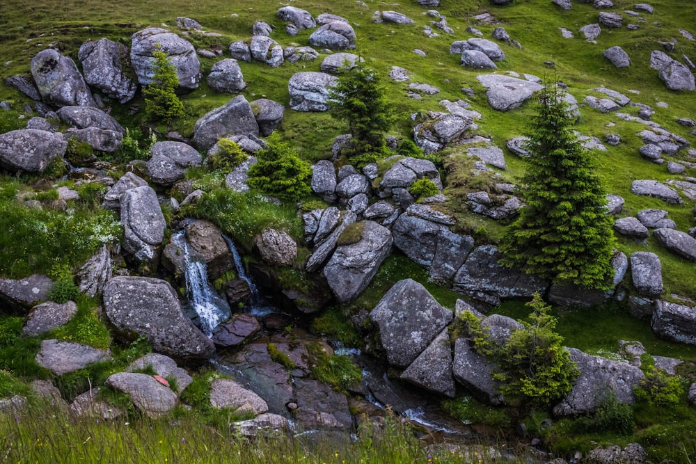 grey stone on field