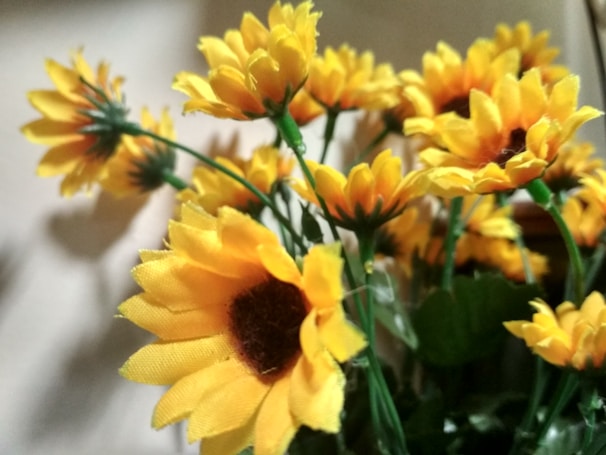 Bold sunflowers with thick textured petals in bright yellows.