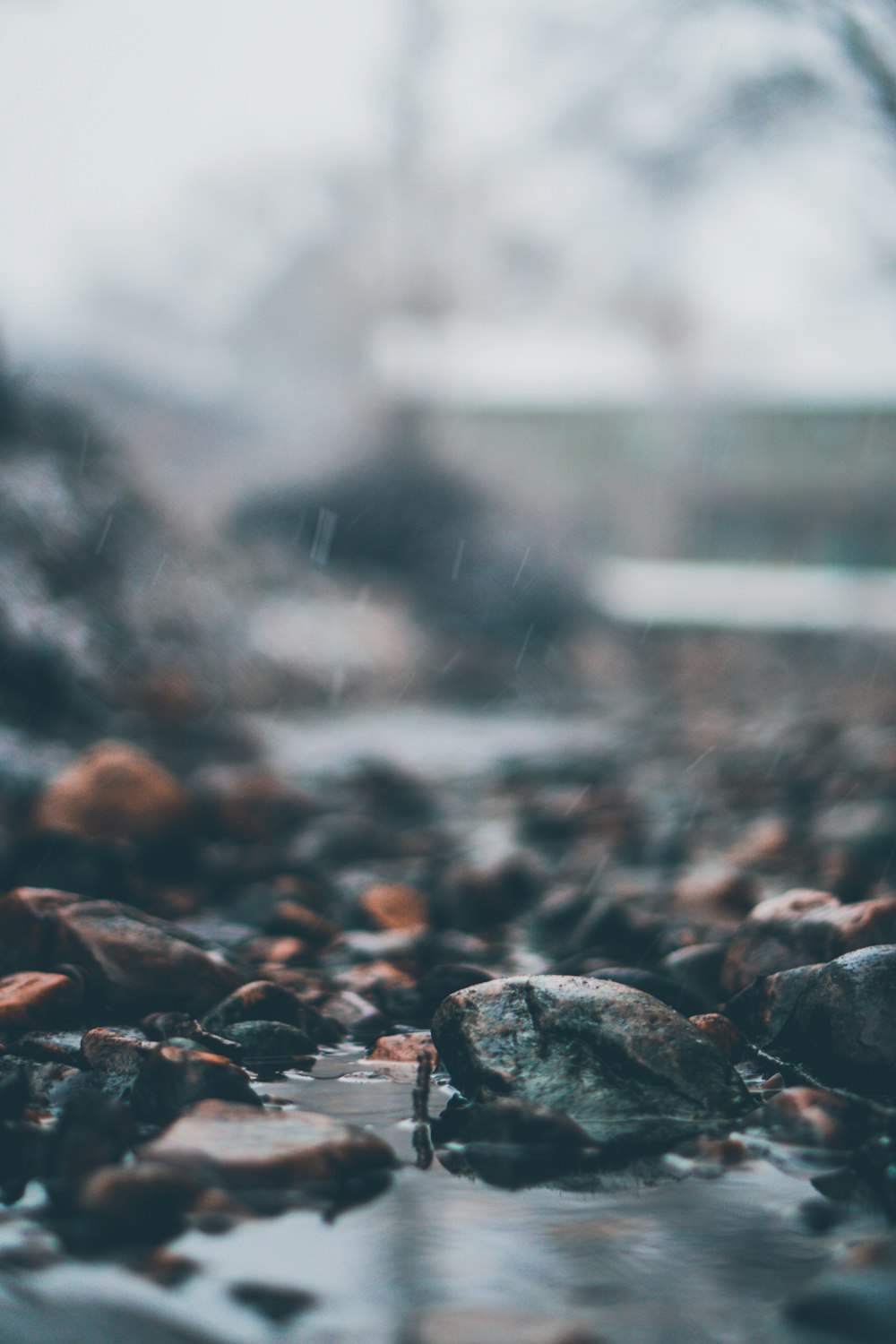 selective focus photography of soaked rocks