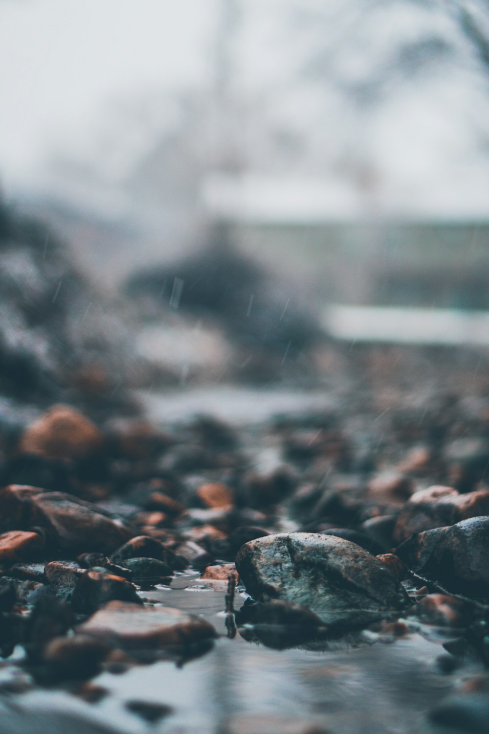 Selektive Fokusfotografie von durchnässten Felsen