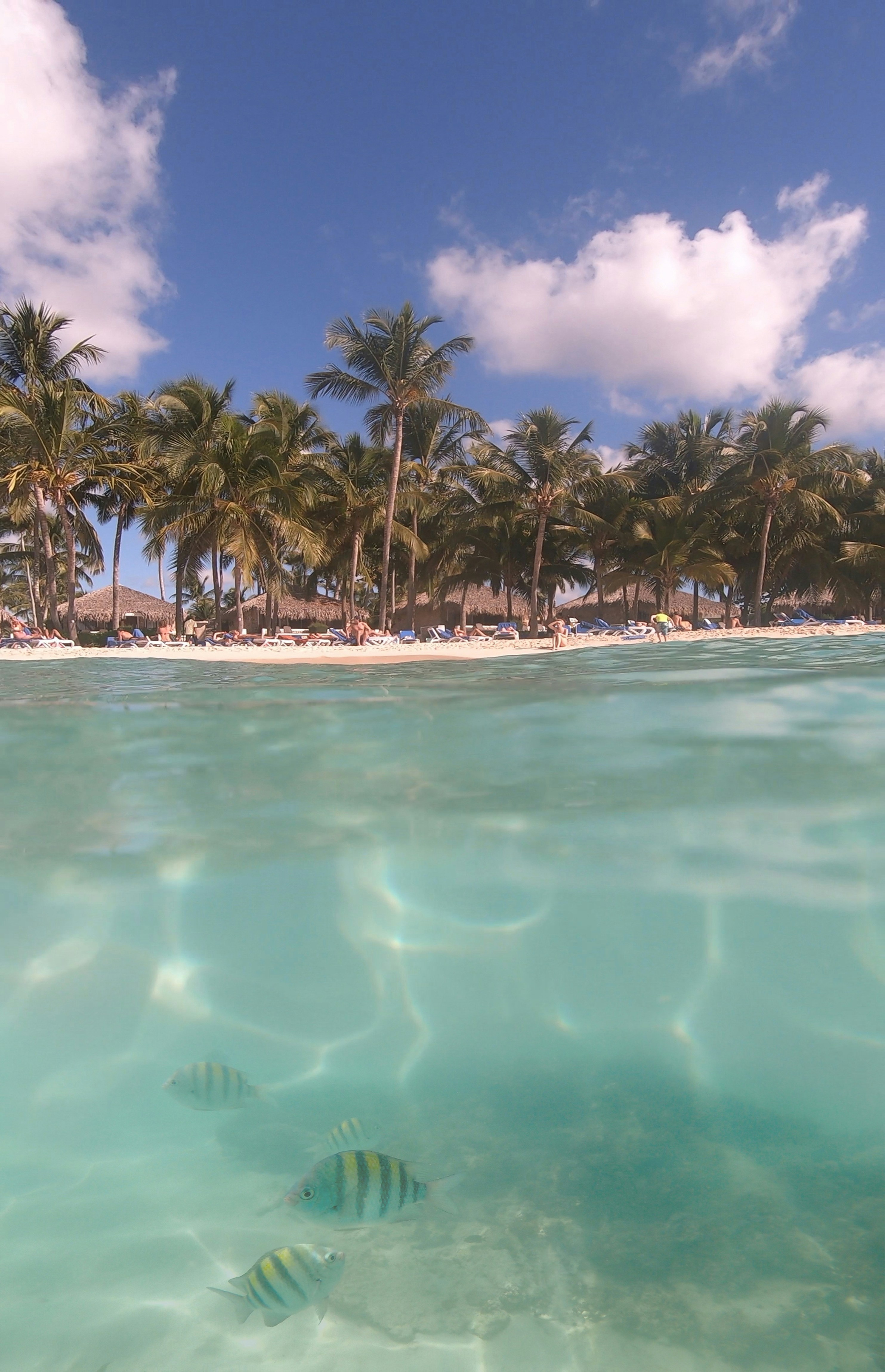"Sand Sea Resort And Spa"