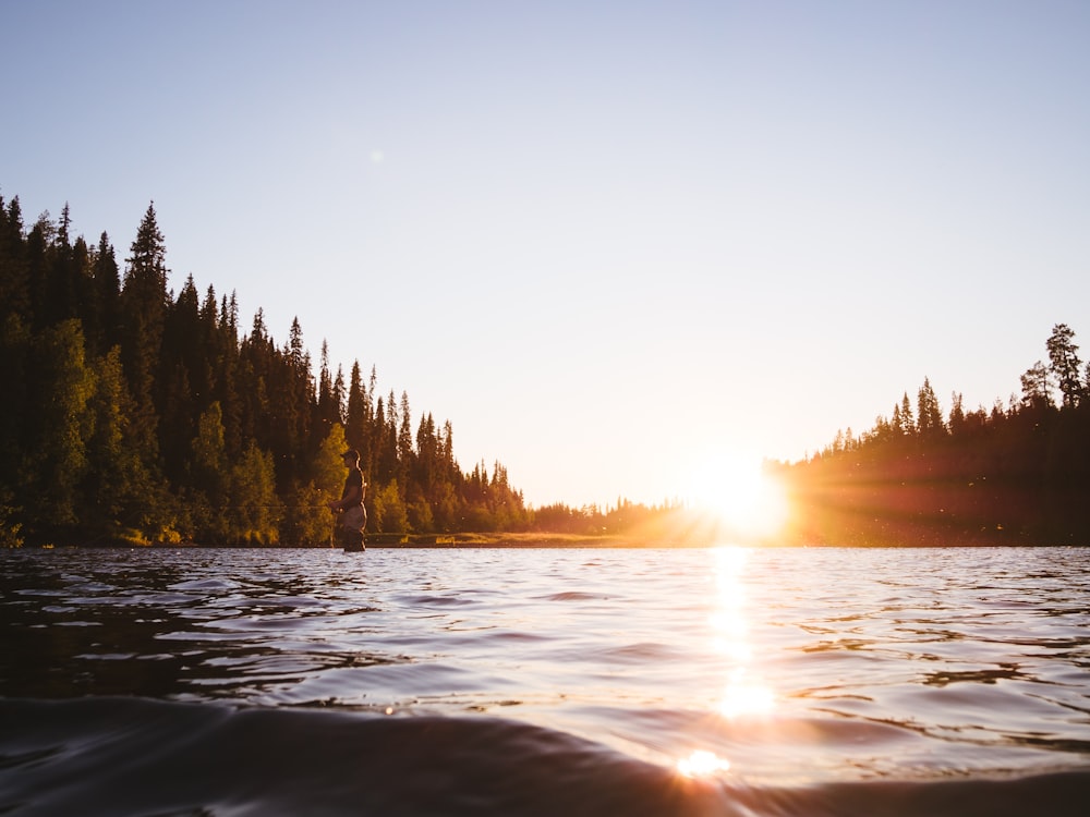 body of water between trees during sunrise