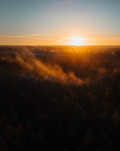 aerial view of trees during sunrise