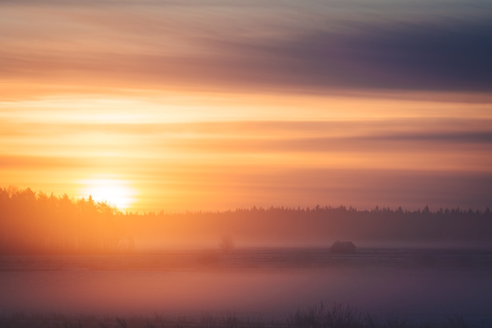 Gewässer umgeben von Bäumen bei Sonnenuntergang