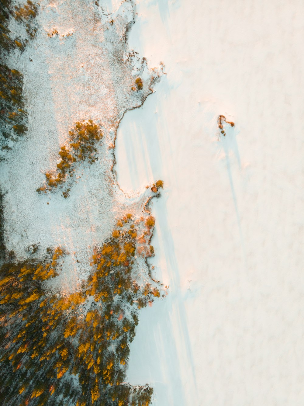 Vista aérea de un campo de nieve