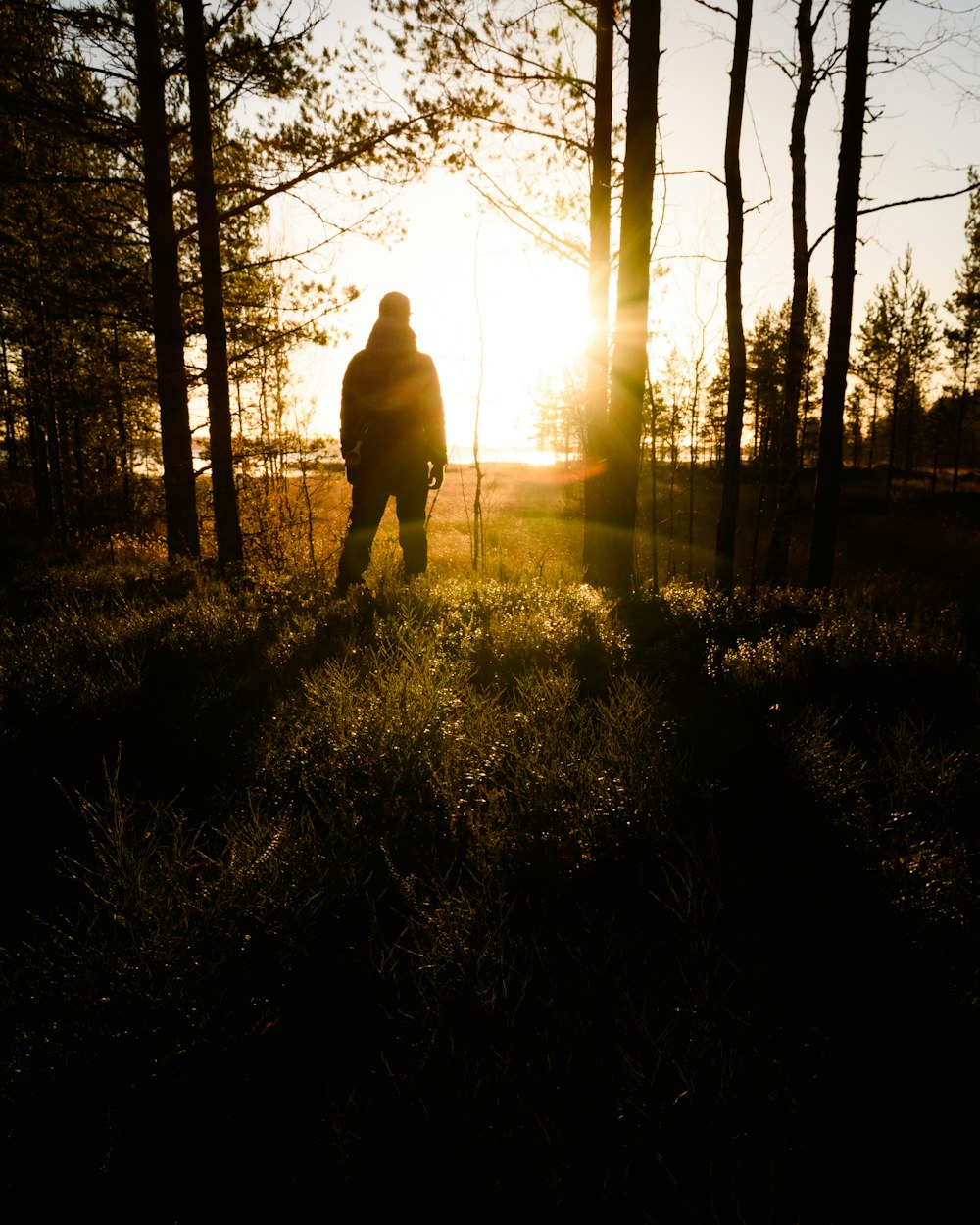 man standing during golden hour