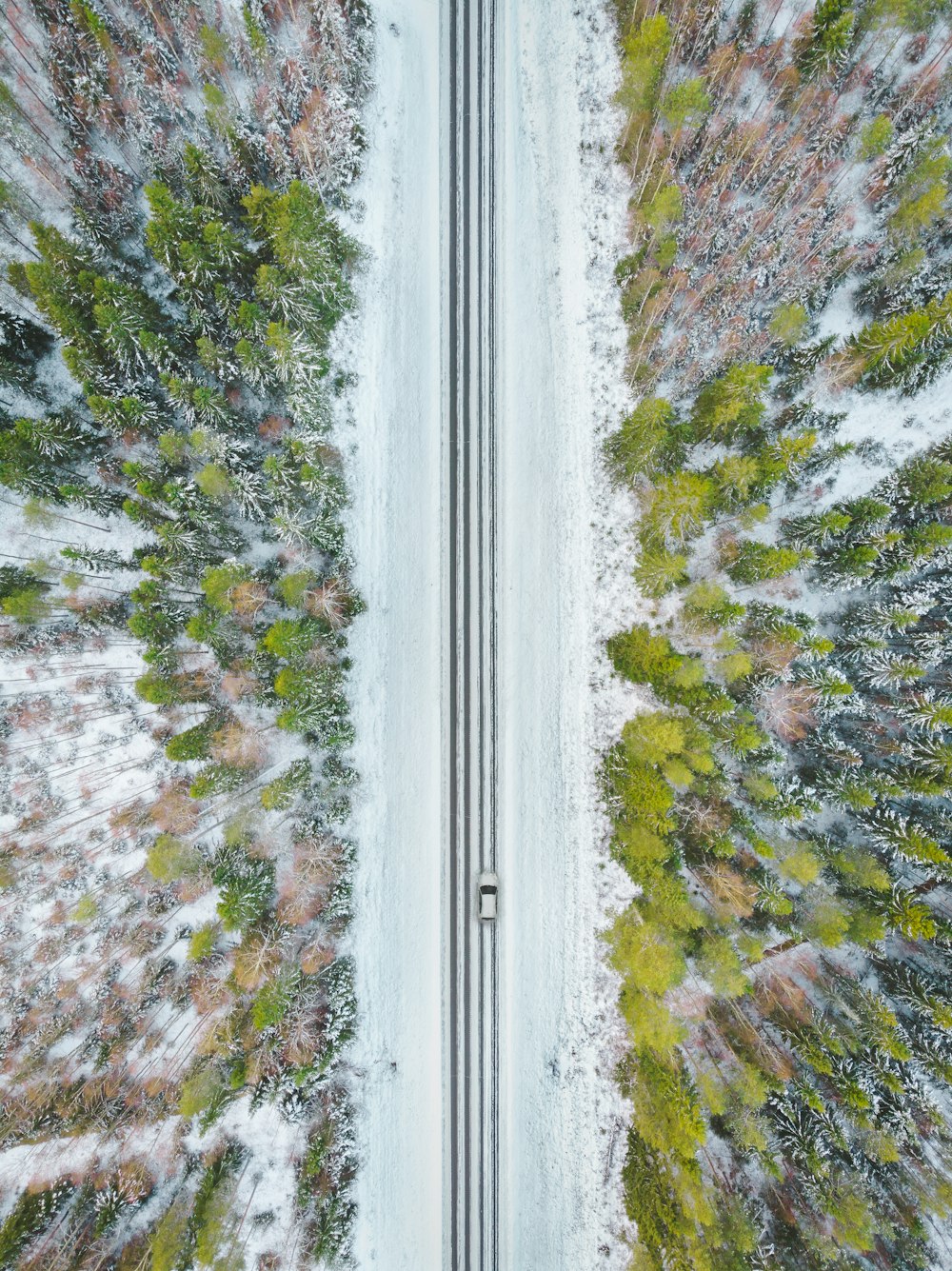 aerial photography of road between trees during daytime