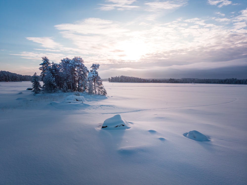 snowy field under blue sky