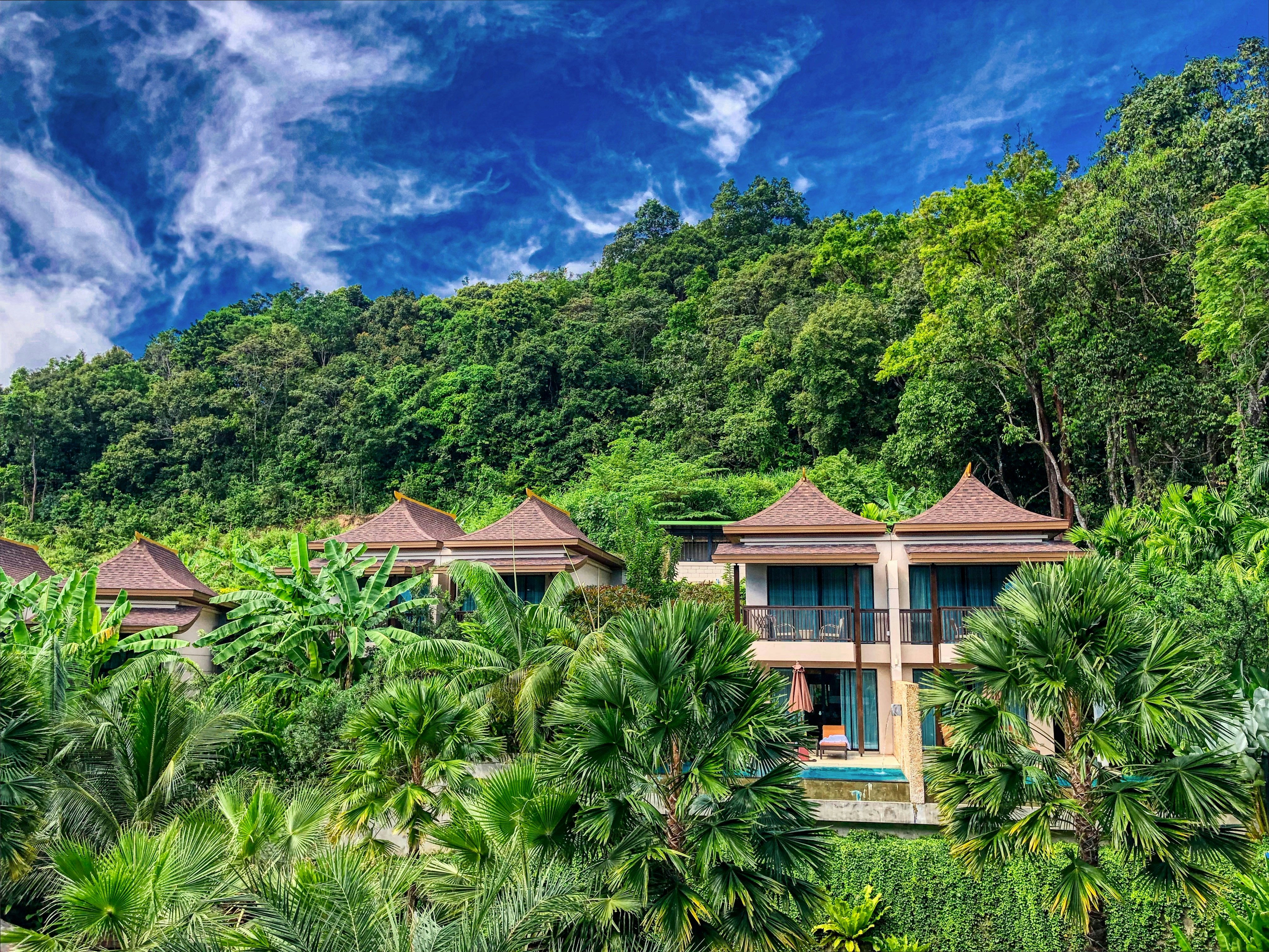 Luxury jungle resort