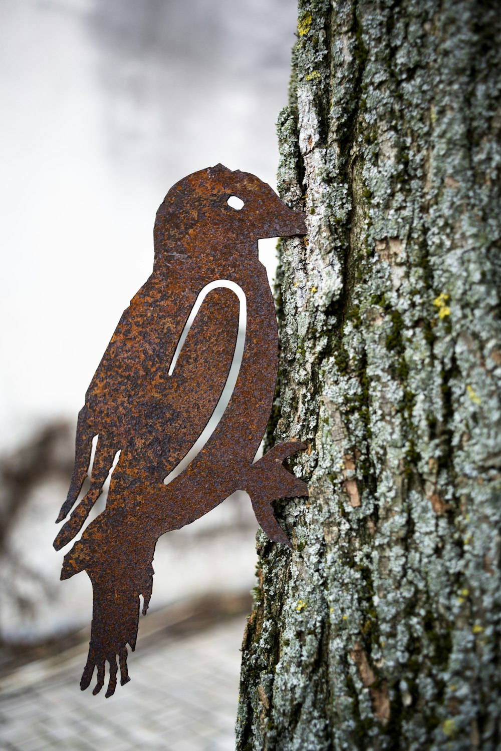 Decoración de marco de pájaro marrón