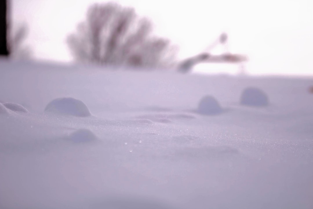 snow covered ground