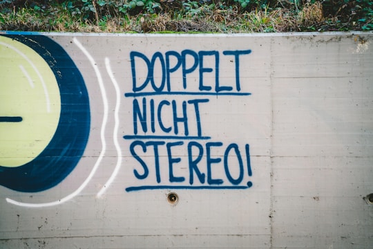 Graffiti on a concrete wall displays the phrase 'Doppelt Nicht Stereo!' in bold, blue lettering. To the left of the text, there is a stylized circular design with tones of green and black, outlined in white. Above the wall, some foliage is visible.
