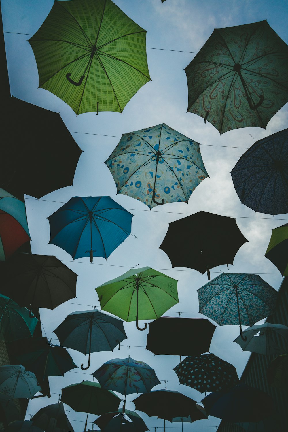 hanged umbrellas