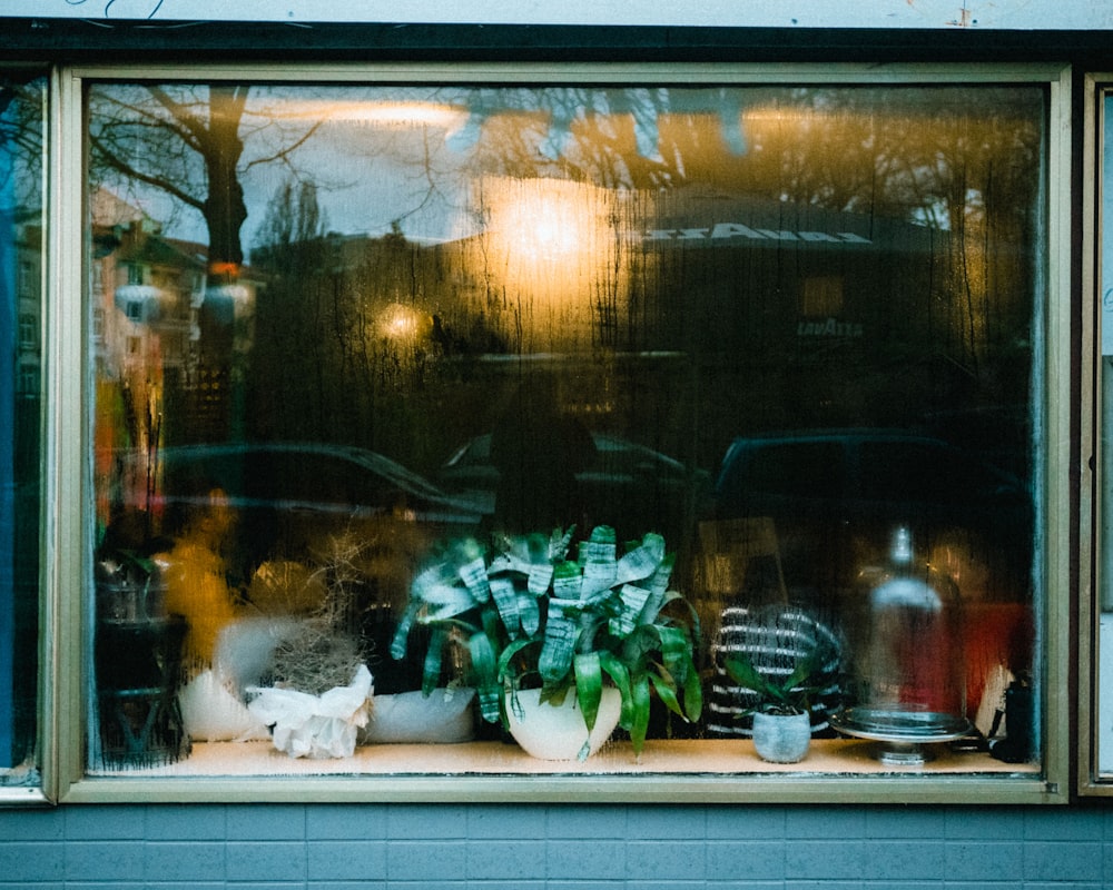 Plante à feuilles vertes sur pot blanc derrière un verre transparent