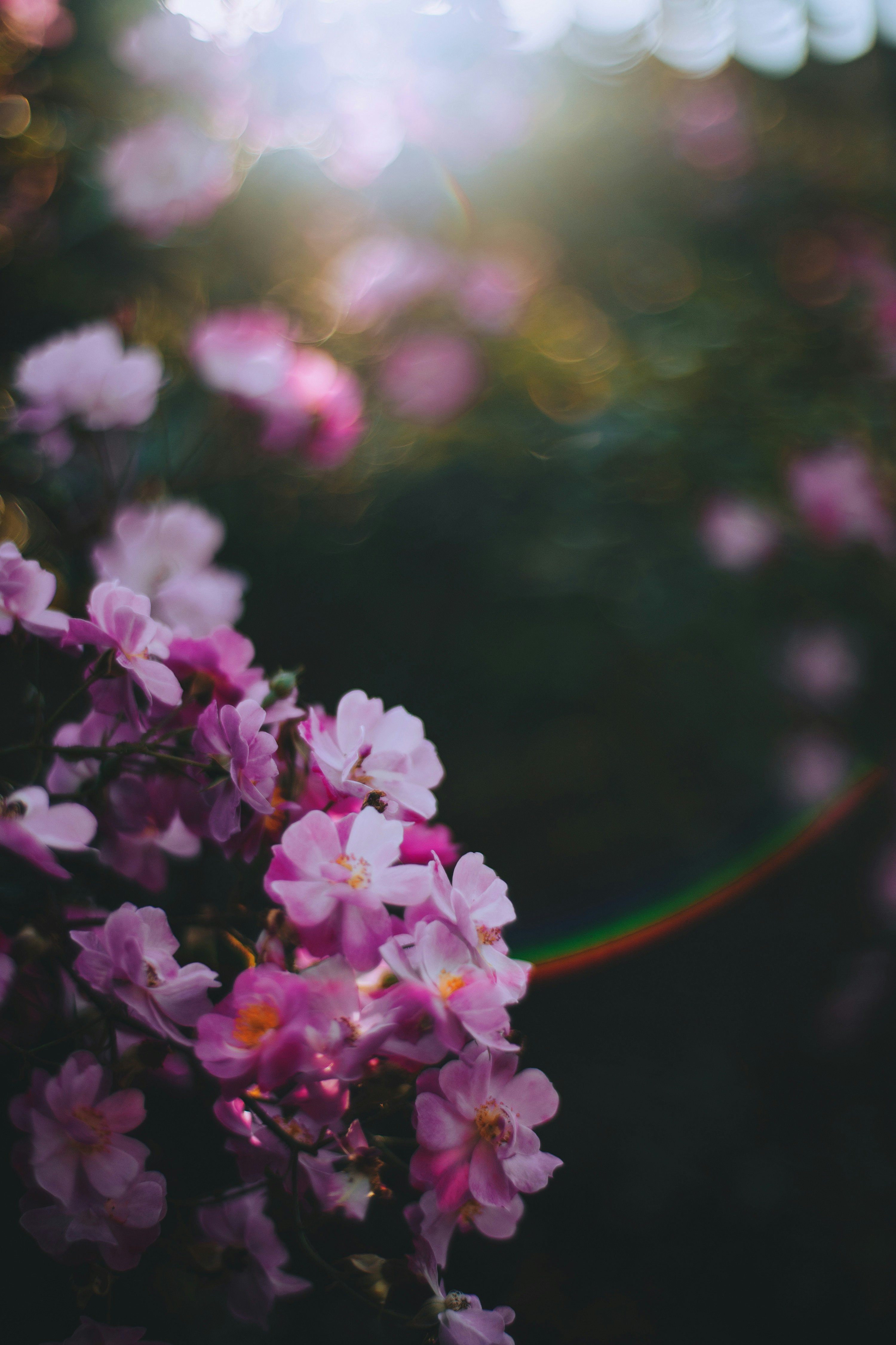 Photo by orlovamaria