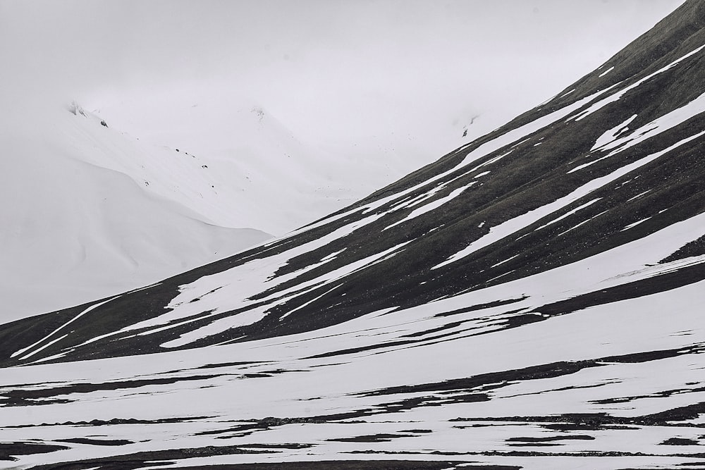 snow covered ground