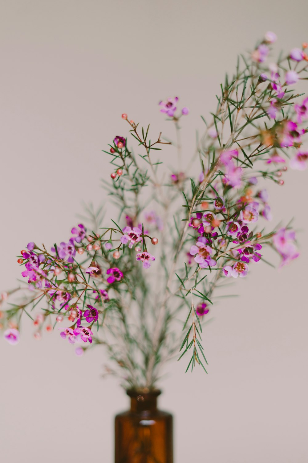 pink flower on vase