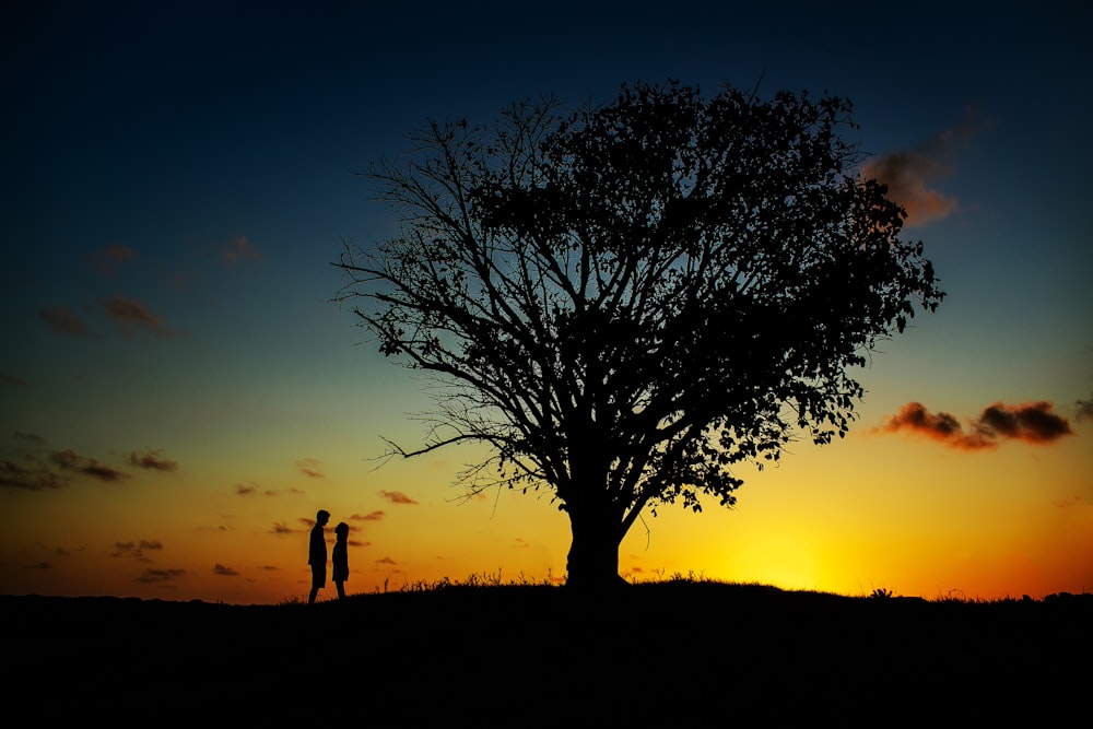 two people standing near tree