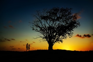 two people standing near tree