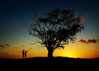 two people standing near tree
