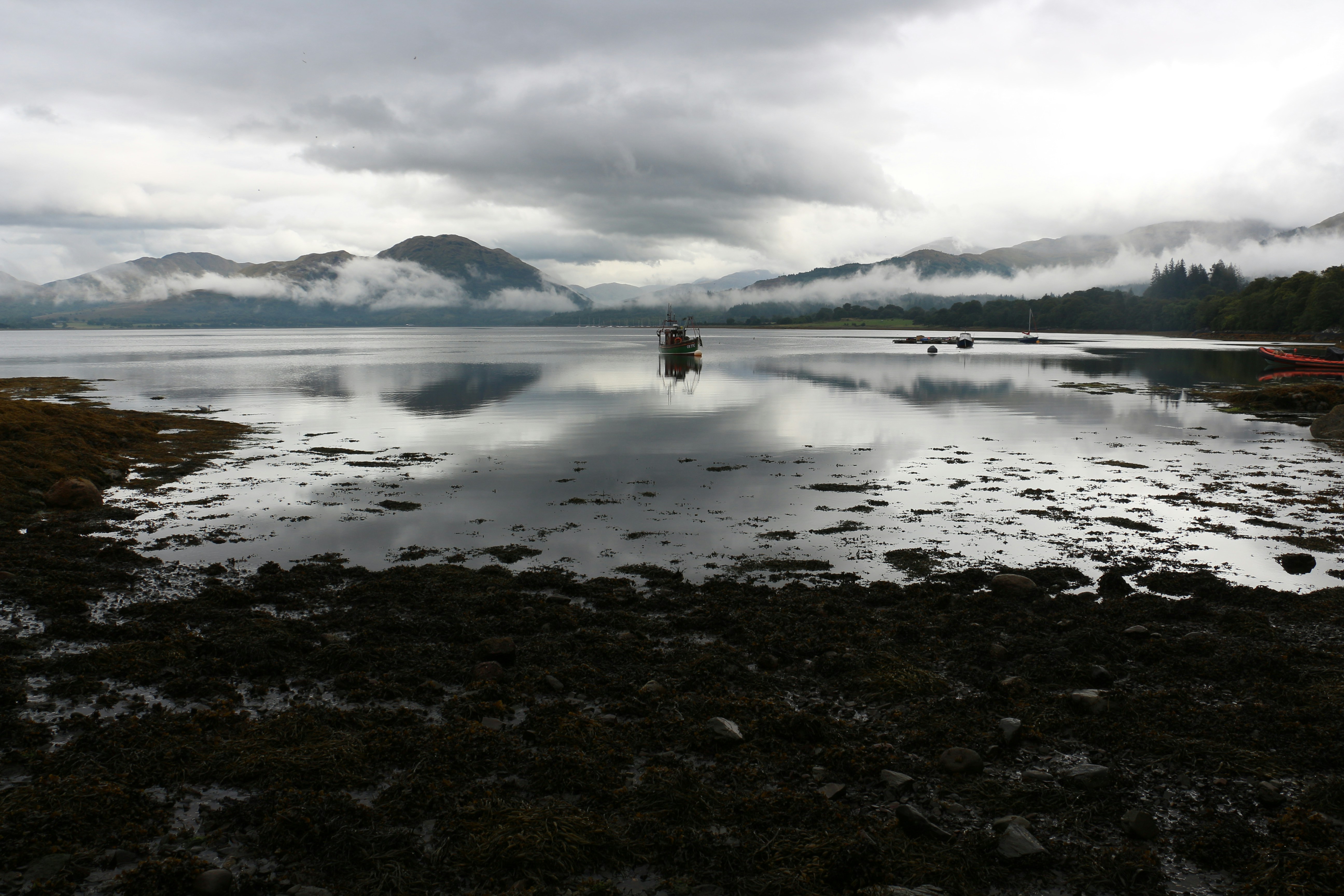 Photo by lizzlemonster