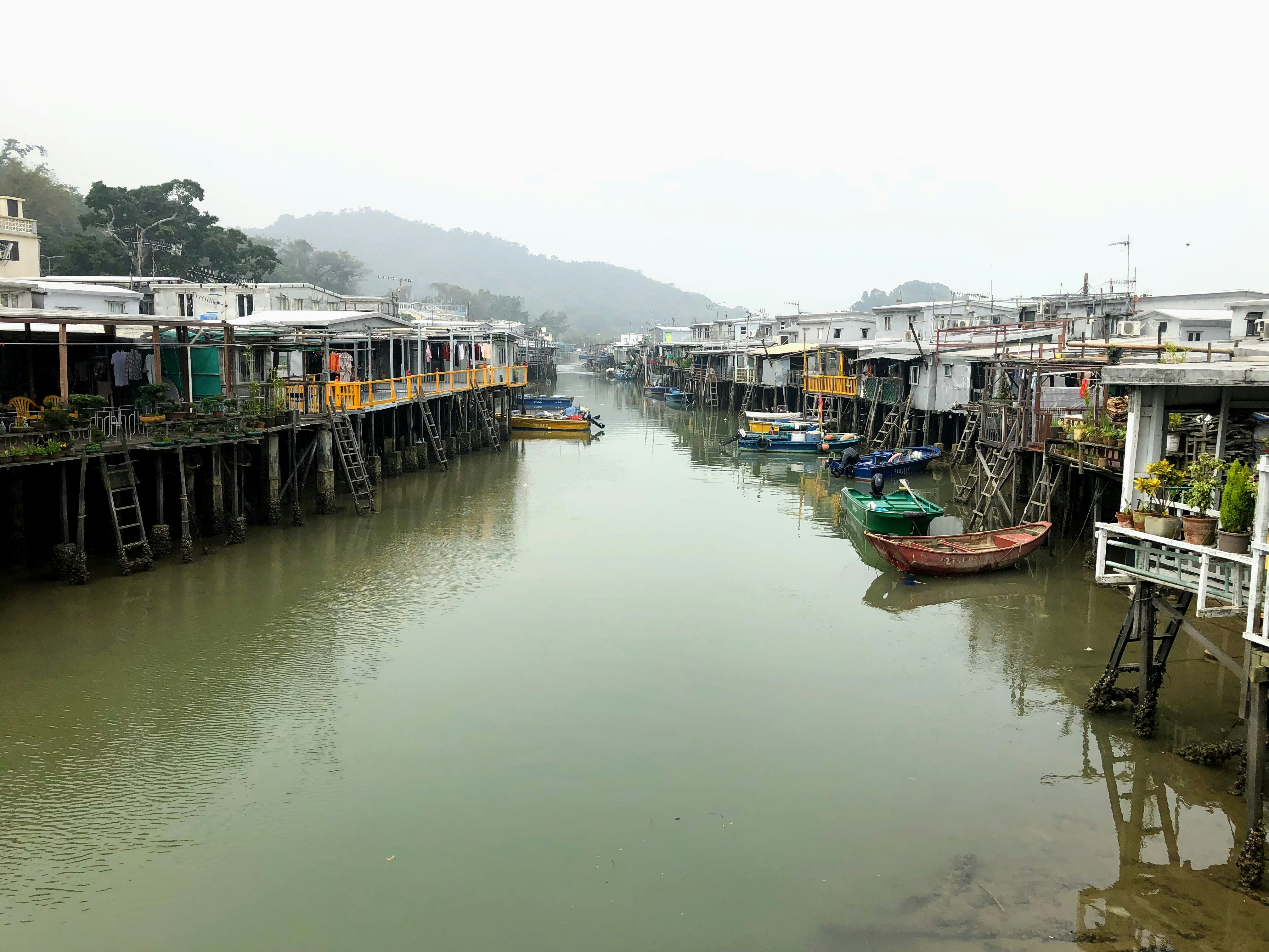 boats on body of water near houses