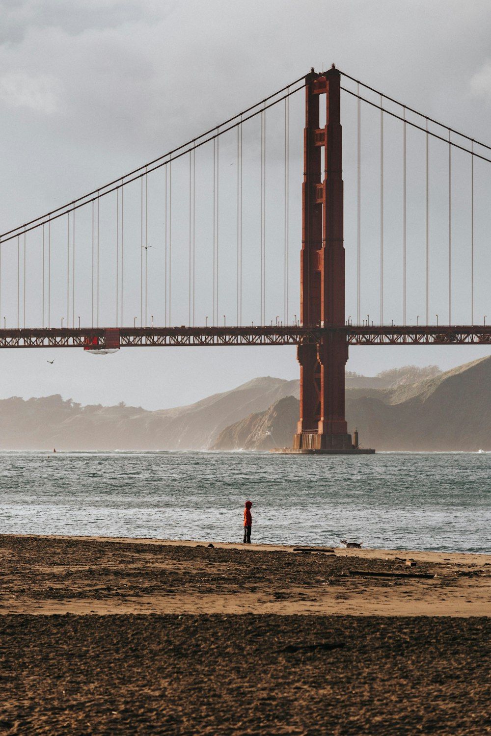 man standing near seashore