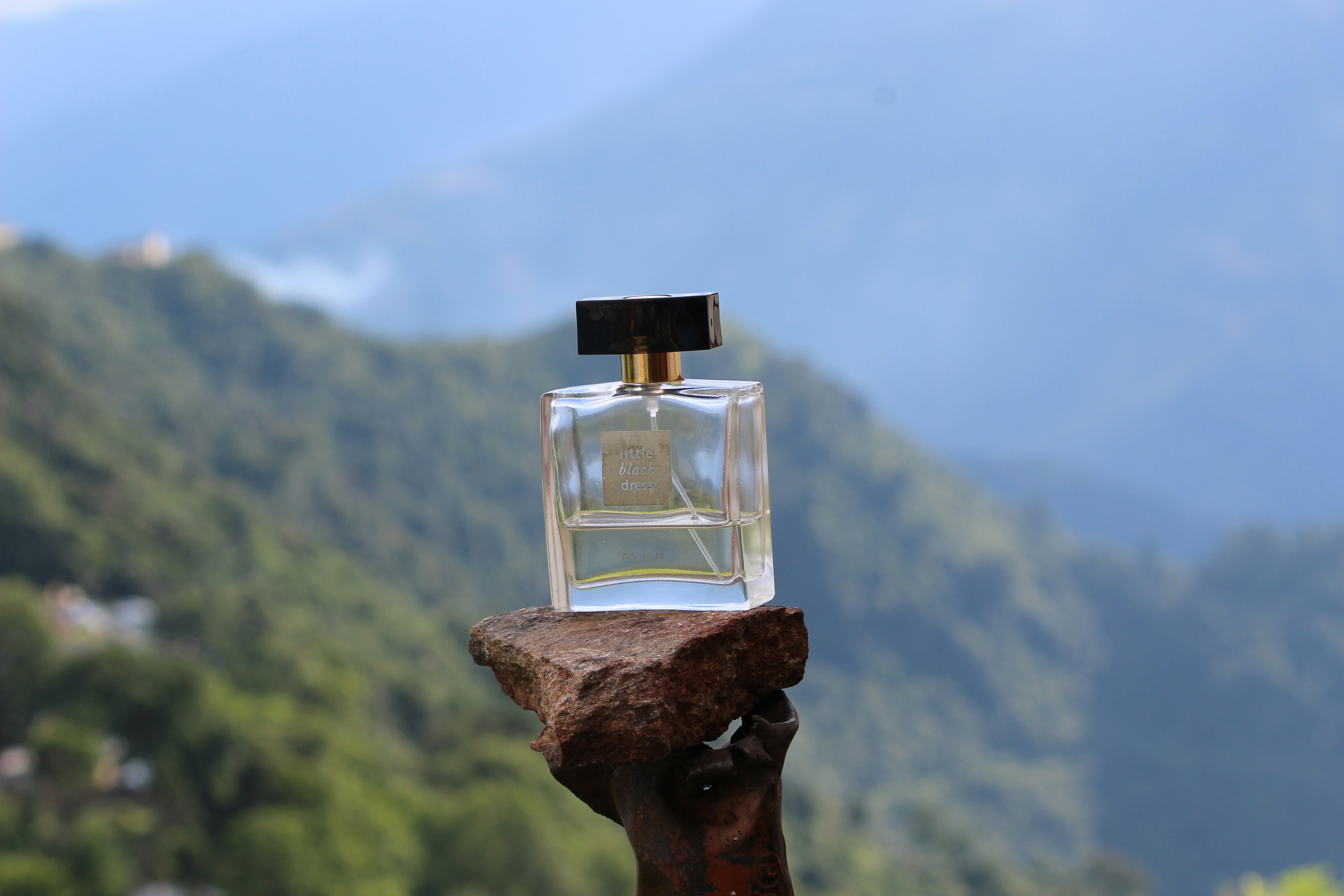 Minimalist dark glass perfume bottle on textured stone surface, moody low-key lighting, deep forest atmosphere