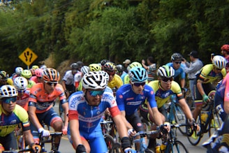 A group of competitive cyclists dressed in brightly colored jerseys and helmets are racing on a road surrounded by greenery. Spectators can be seen in the background. A yellow road sign indicating a fork is visible.
