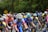 A group of competitive cyclists dressed in brightly colored jerseys and helmets are racing on a road surrounded by greenery. Spectators can be seen in the background. A yellow road sign indicating a fork is visible.