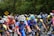 A group of competitive cyclists dressed in brightly colored jerseys and helmets are racing on a road surrounded by greenery. Spectators can be seen in the background. A yellow road sign indicating a fork is visible.