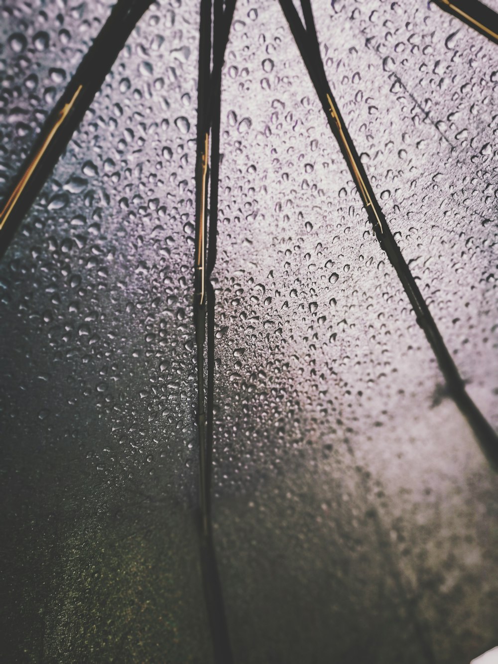 water droplets on transparent umbrella