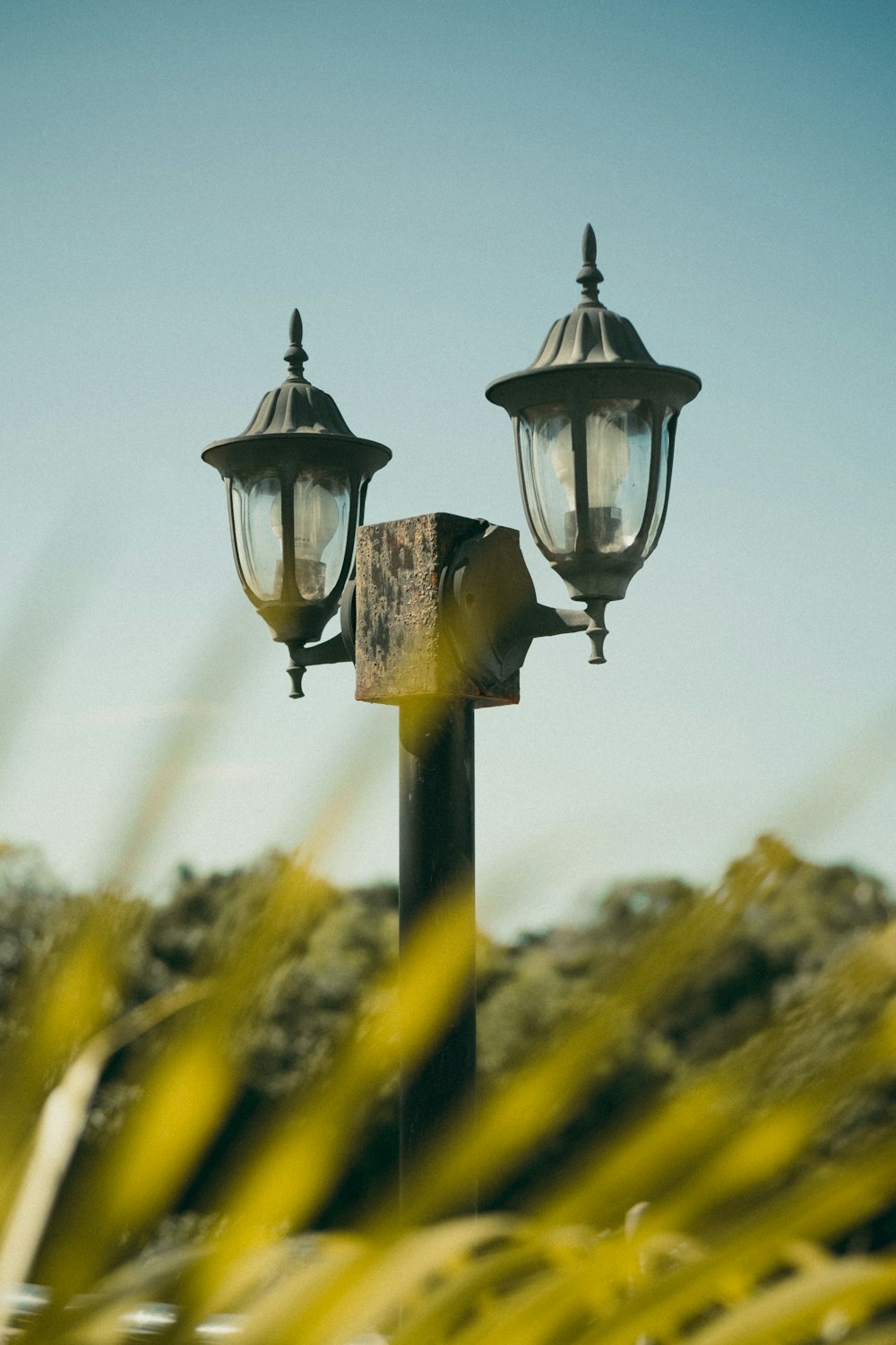 black lamppost