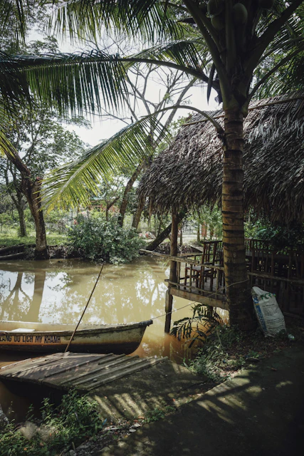 coconut tree near river